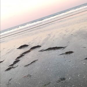 Meet your Posher, Luis